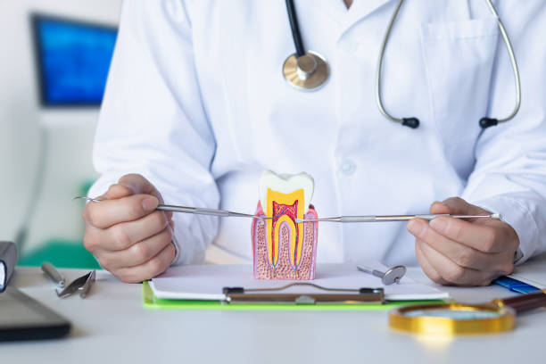 Best Same-Day Emergency Dental Services in Murphys, CA